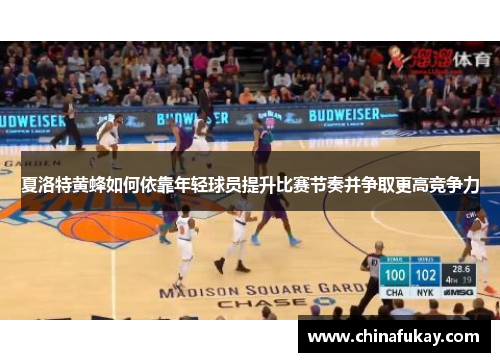 夏洛特黄蜂如何依靠年轻球员提升比赛节奏并争取更高竞争力