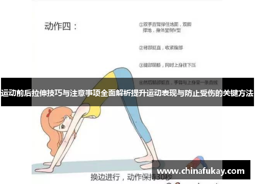 运动前后拉伸技巧与注意事项全面解析提升运动表现与防止受伤的关键方法