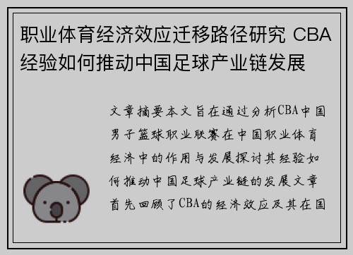 职业体育经济效应迁移路径研究 CBA经验如何推动中国足球产业链发展